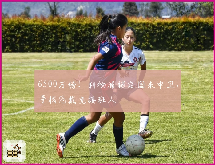 6500万镑！利物浦锁定国米中卫，寻找范戴克接班人